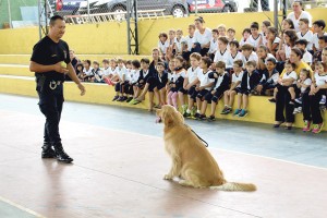 Canil da Guarda Civil faz demonstração das habilidades dos cães