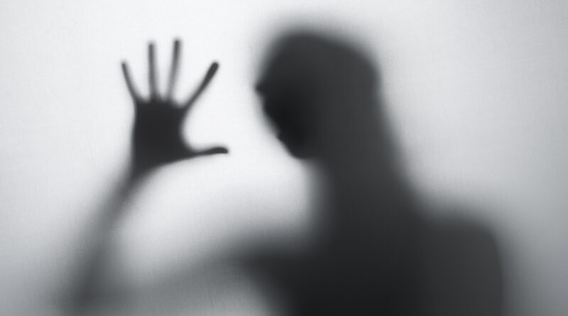 Jornal Exemplo investiga possível violência doméstica de secretário-adjunto municipal de Indaiatuba Jornal Exemplo investiga possível violência doméstica de secretário-adjunto municipal de Indaiatuba